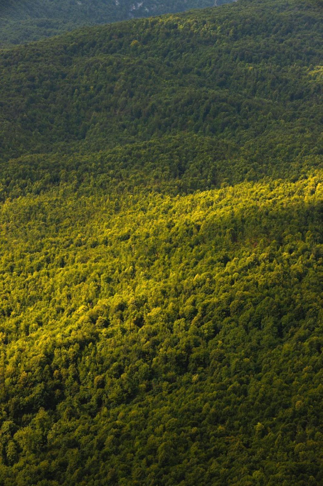 Lastiver Resort Yenokavan Eksteriør billede